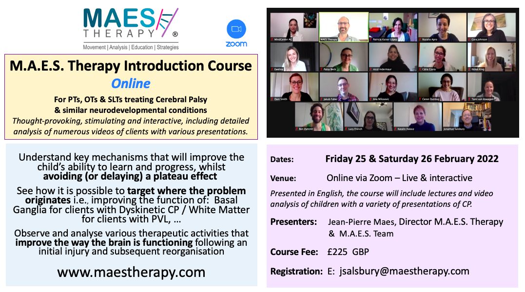 MAES Introduction Course, 2-Days Online 25-26 Feb.2022 