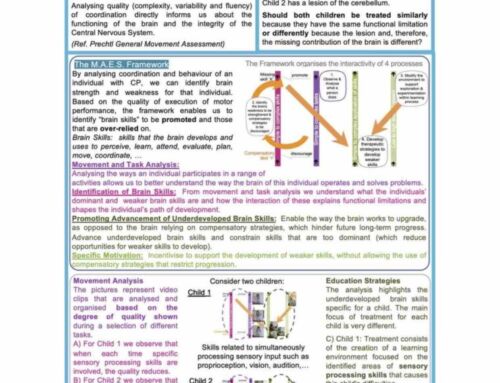 M.A.E.S. Therapy e-Poster presented at the 32nd  European Academy of Childhood Disability Annual Meeting