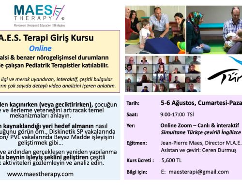 M.A.E.S. Therapy Introduction Course for Turkey