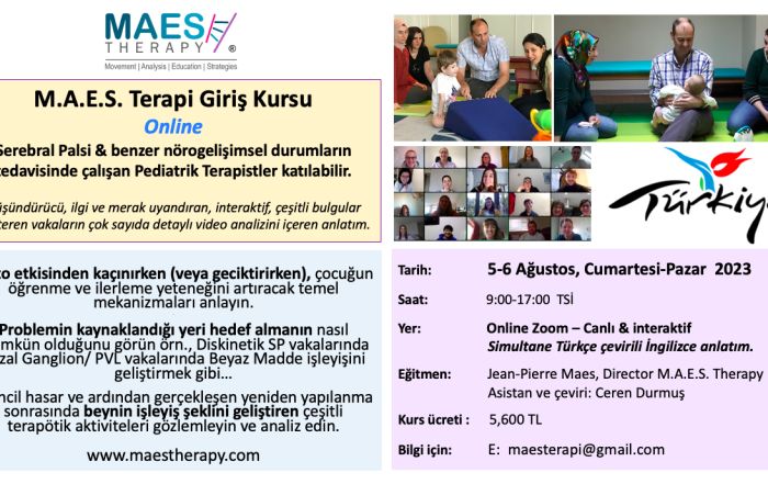 MAES Introduction Course Online - Turkey 2023