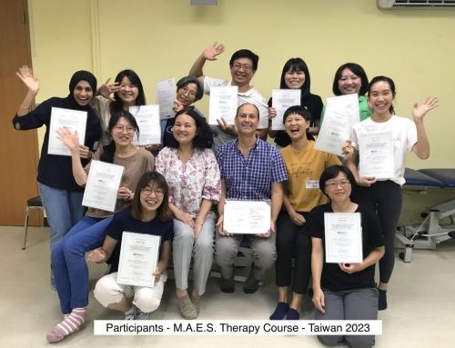 1st  M.A.E.S. Therapy Course in Taiwan !