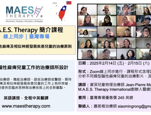 M.A.E.S. Therapy Introduction Course Taiwan – Online