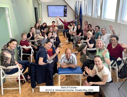 M.A.E.S. Therapy Advanced A.R.T. Course – Croatia 2025