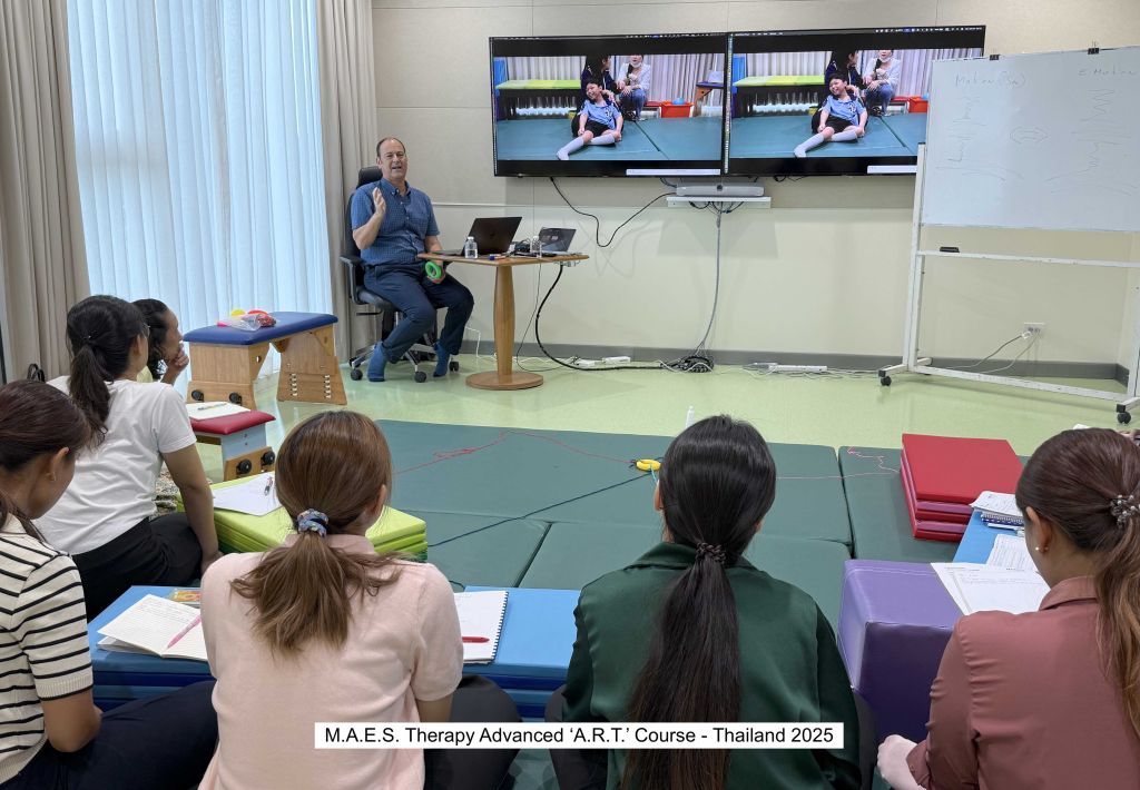 M.A.E.S. Therapy Advanced ‘A.R.T. Course Thailand 2025 4
